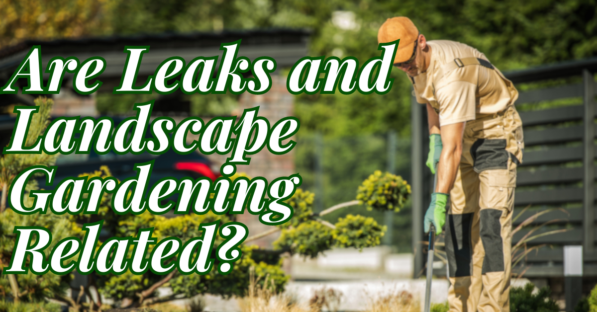leaks and landscape gardening