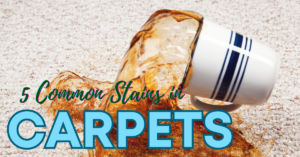 stains in carpets