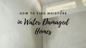 Find moisture in water damaged homes