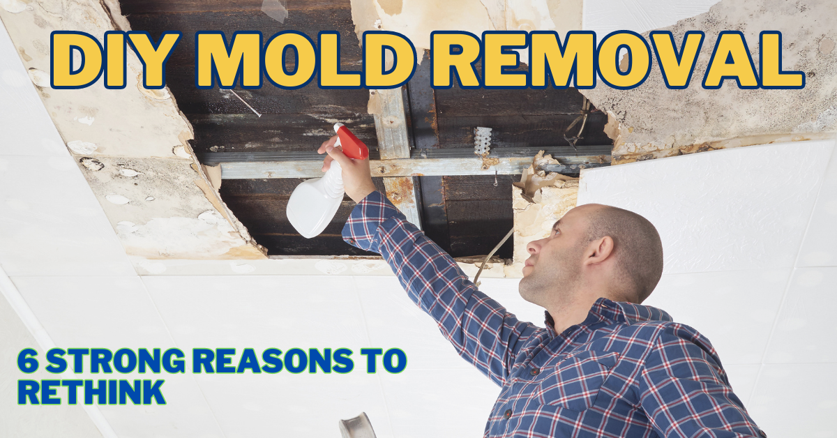 DIY Mold Removal: 6 Strong Reasons to Rethink