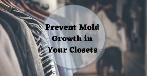 Prevent Mold Growth in Your Closets