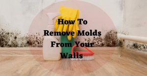 How To Remove Molds From Your Walls