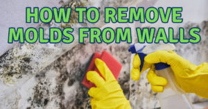 How to Remove Molds from Walls