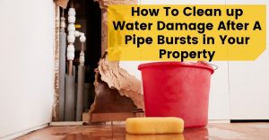 How To Clean up Water Damage After A Pipe Bursts in Your Property
