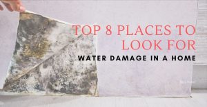 Top 8 Places To Look For Water Damage In A Home