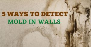 5 Ways To Detect Mold In Walls