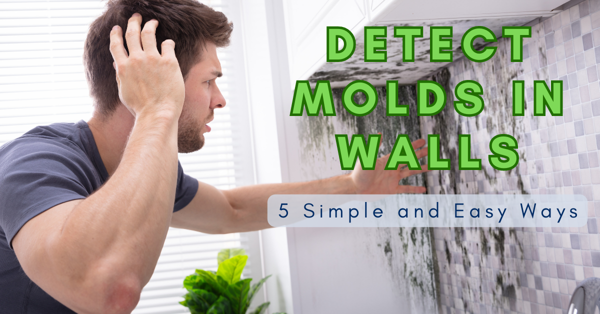 detect molds in walls
