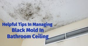 Helpful Tips In Managing Black Mold In Bathroom Ceiling