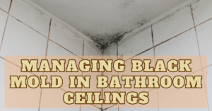 black mold in bathroom ceilings