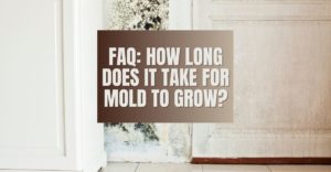 FAQ How Long Does it Take for Mold to Grow