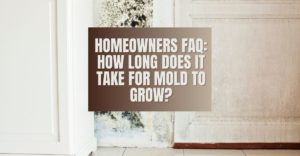 Homeowners FAQ How Long Does it Take for Mold to Grow