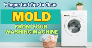 Mold from Your Washing Machine
