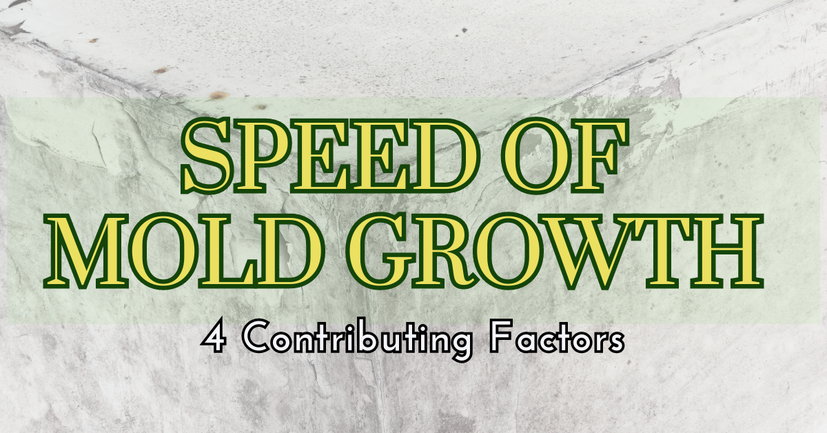 speed of mold growth