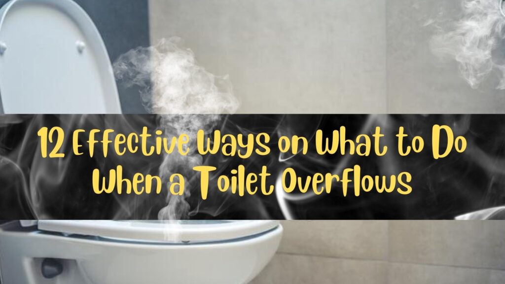 what to do when a toilet overflows