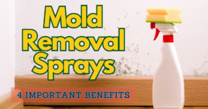 mold removal sprays