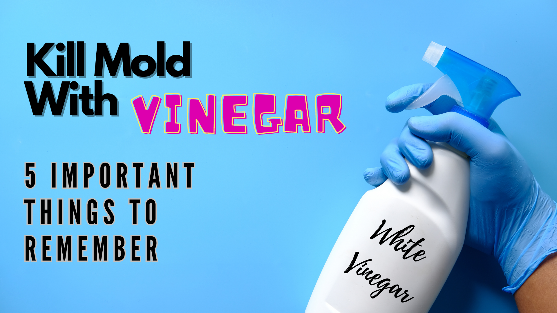 kill mold with vinegar
